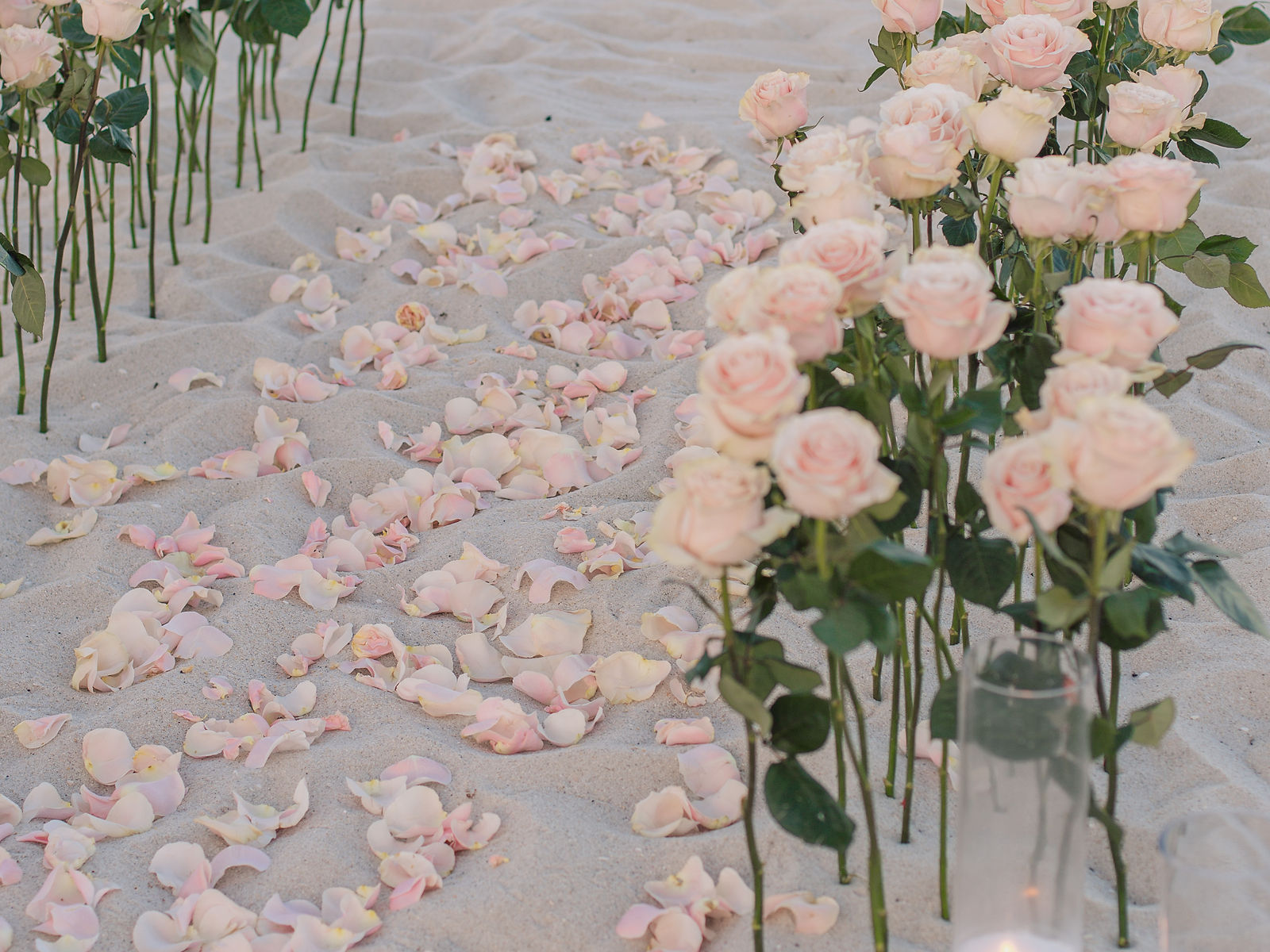 Tender Luxury proposal with soft pink roses
