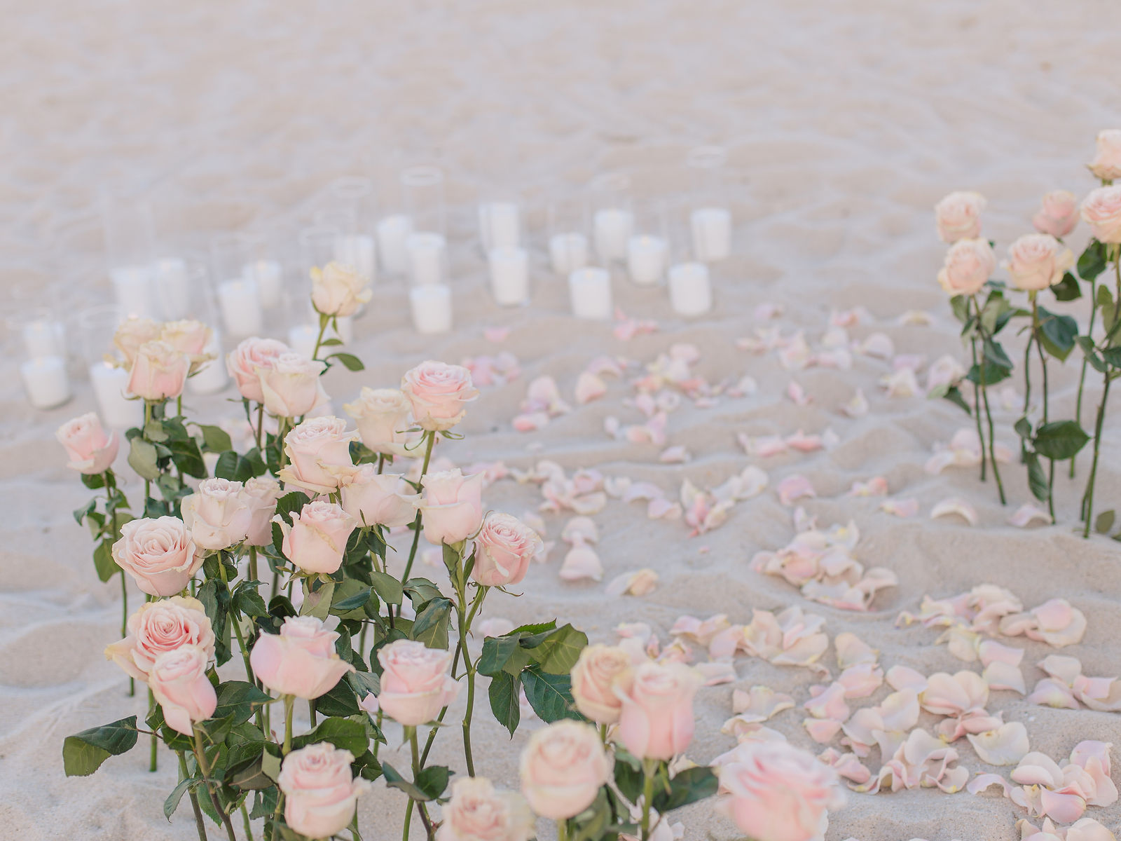 Tender Luxury floral details on the beach