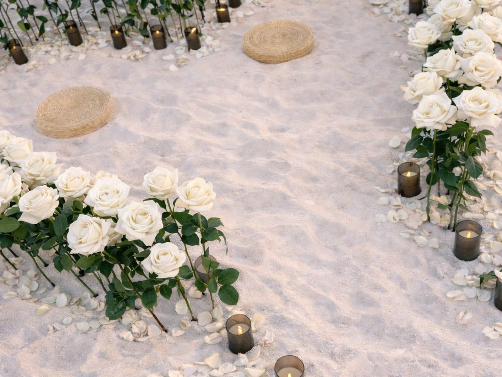 Beach Bloom white rose pathway